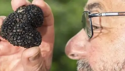 Zakon.kz, фото - Новости Zakon.kz от 20.06.2017 21:23