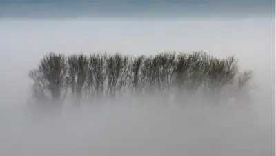 туман , фото - Новости Zakon.kz от 30.03.2022 15:31