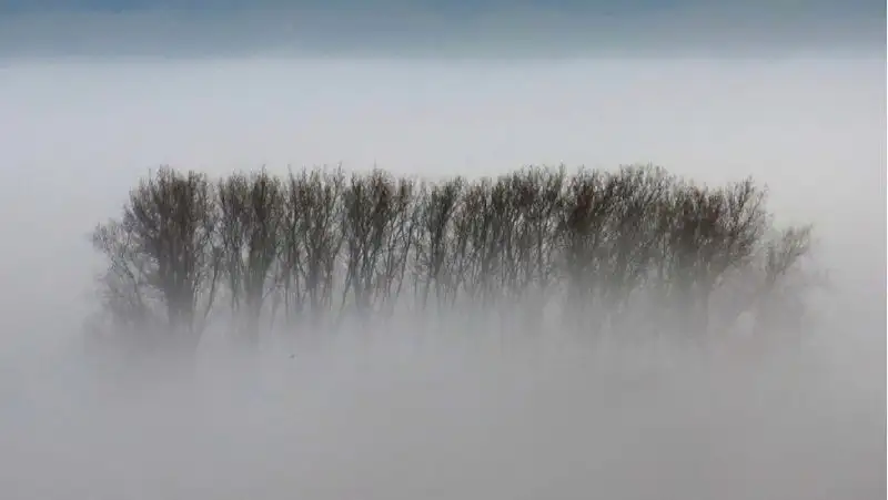 31 марта туман накроет ряд областей Казахстана