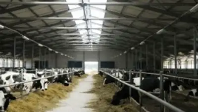 Zakon.kz, фото - Новости Zakon.kz от 09.03.2016 18:26