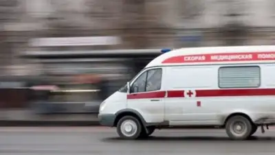 Zakon.kz, фото - Новости Zakon.kz от 09.08.2017 21:10