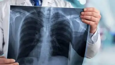 zakon.kz., фото - Новости Zakon.kz от 13.12.2020 10:01