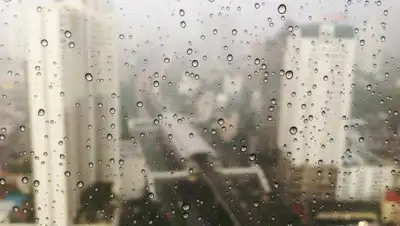 pxhere.com, фото - Новости Zakon.kz от 31.10.2019 09:04