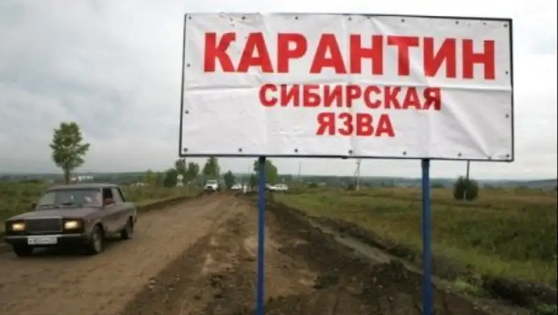 В Карагандинской области в связи с сибирской язвой продлен режим ЧС