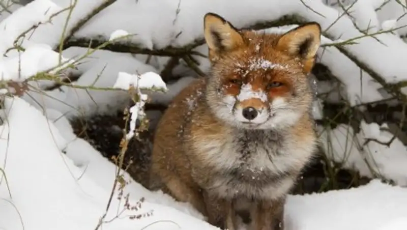 Температура в Казахстане вновь понизится