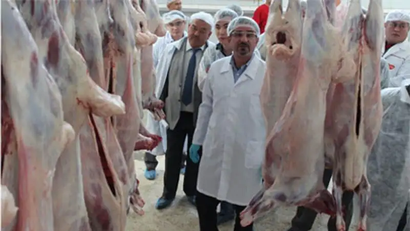 Казахстанскую баранину будут поставлять в Бахрейн