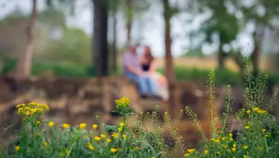 pxhere.com, фото - Новости Zakon.kz от 16.08.2019 12:18