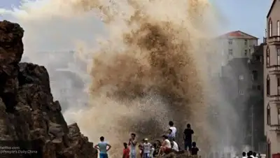 Nation-news.ru, фото - Новости Zakon.kz от 22.07.2018 17:29