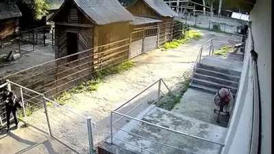 Facebook, фото - Новости Zakon.kz от 19.07.2019 21:14