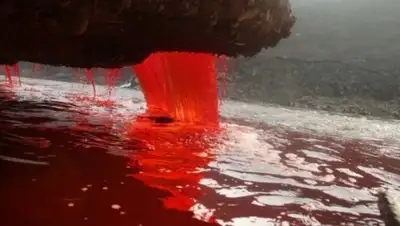 Zakon.kz, фото - Новости Zakon.kz от 23.08.2016 22:39