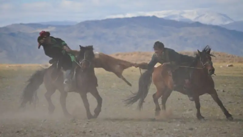 Кокпар прямо на дороге устроили в Алматинской области