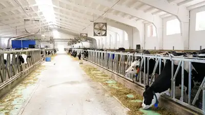 Это капля в море для государства: Партия "Ауыл" объяснила предложение освободить фермеров от налогов, фото - Новости Zakon.kz от 10.03.2023 22:12