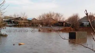 Zakon.kz, фото - Новости Zakon.kz от 08.04.2014 16:59