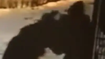 Zakon.kz, фото - Новости Zakon.kz от 02.03.2016 22:31