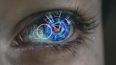 ягоды для зрения, фото - Новости Zakon.kz от 23.05.2022 06:34