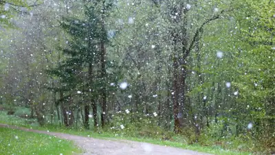 Pixabay, фото - Новости Zakon.kz от 07.04.2020 19:52