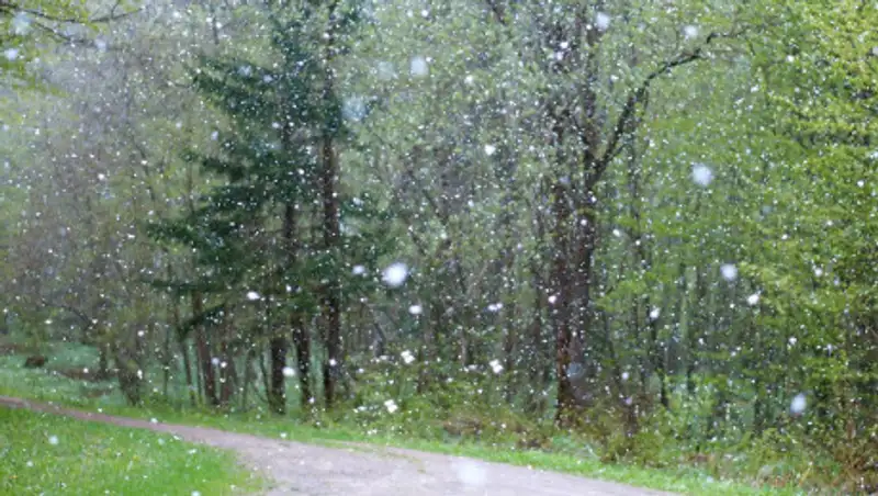 В Алматинской области ожидается дождь, снег и туман