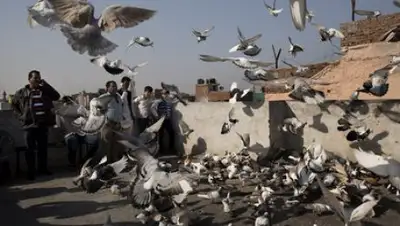 Zakon.kz, фото - Новости Zakon.kz от 16.10.2016 15:14