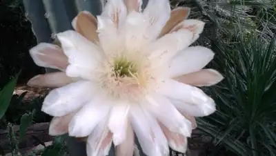 Zakon.kz, фото - Новости Zakon.kz от 30.05.2015 21:20