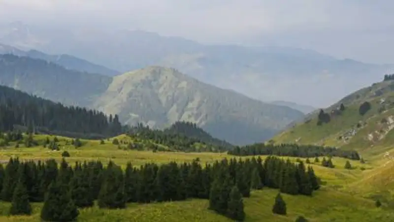 Землетрясение магнитудой 4.2 произошло на востоке Казахстана