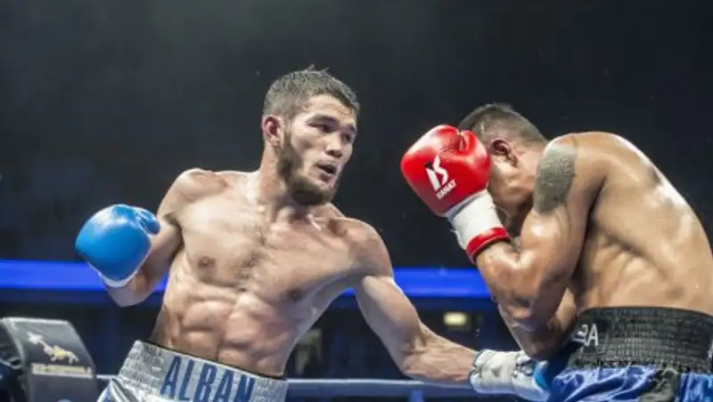 Айдар Шарибаев и Энрике Тиноко сразятся за пояс WBA