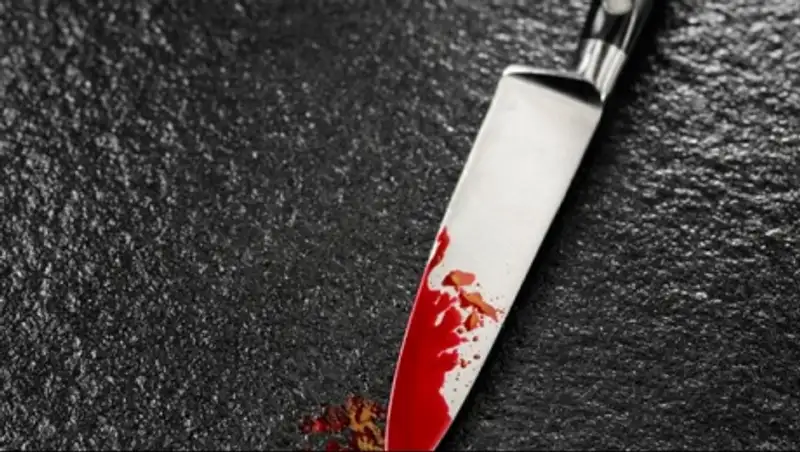 В ЮКО старший брат зарезал младшего за попытку воспитания