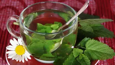 отвар, фото - Новости Zakon.kz от 18.06.2022 16:25