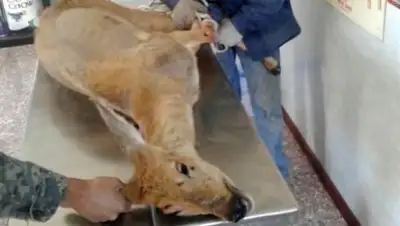 Zakon.kz, фото - Новости Zakon.kz от 08.09.2016 18:05