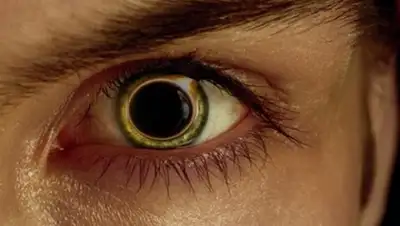 alkonark.ru, фото - Новости Zakon.kz от 28.11.2017 10:28