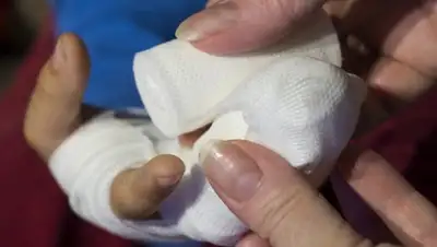 pixabay.com, фото - Новости Zakon.kz от 22.07.2019 22:10