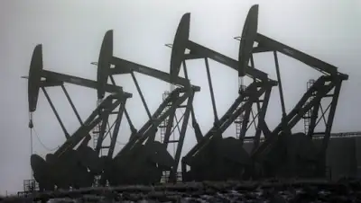 Zakon.kz, фото - Новости Zakon.kz от 25.11.2015 17:01