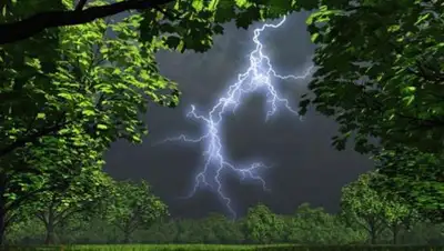 Zakon.kz, фото - Новости Zakon.kz от 26.06.2017 20:48