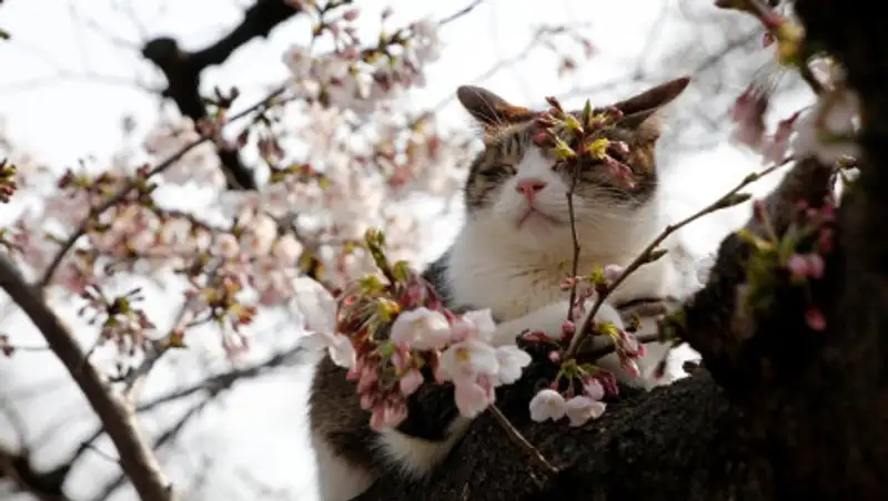 Неустойчивая погода прогнозируется 22 марта