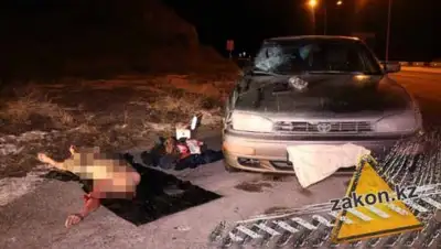 zakon.kz, фото - Новости Zakon.kz от 03.02.2019 00:52