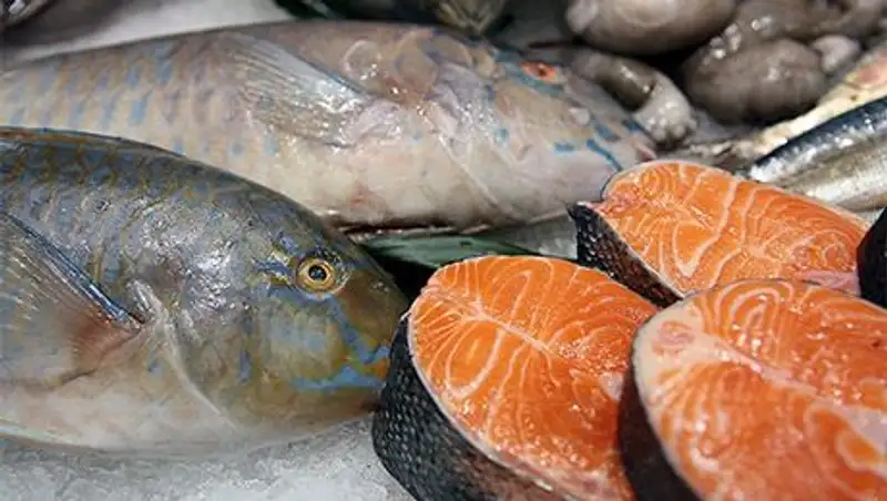 Норвежская рыба нашла обходные пути в Россию