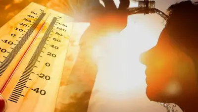 Версия.Инфо, фото - Новости Zakon.kz от 24.08.2020 16:05