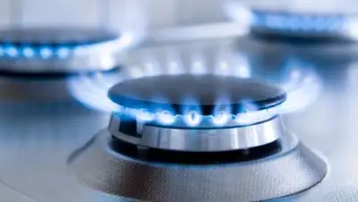 ptzgovorit.ru, фото - Новости Zakon.kz от 26.11.2018 15:50