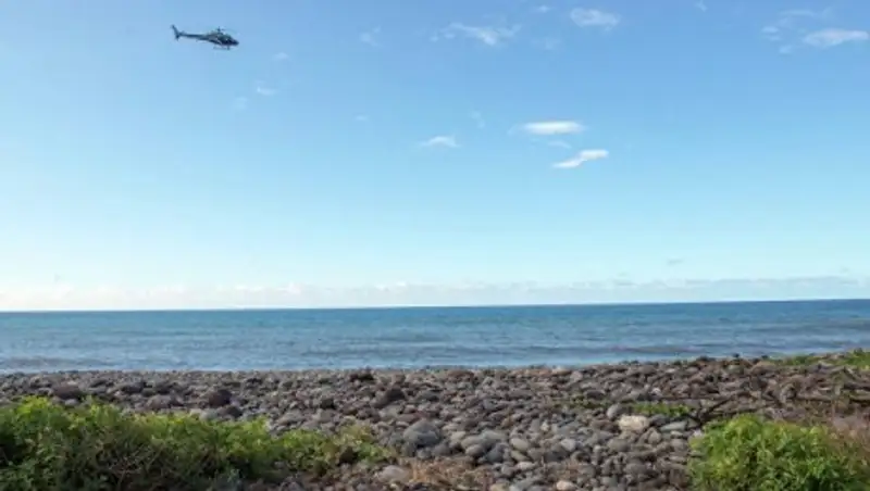 СМИ: акула смертельно ранила серфера на французском острове Реюньон