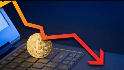 Фото: Login Casino, фото - Новости Zakon.kz от 31.01.2018 09:13