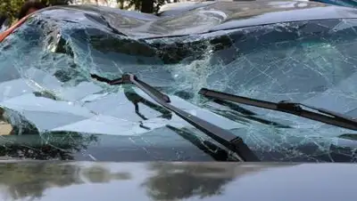 zakon.kz, фото - Новости Zakon.kz от 15.10.2021 14:35