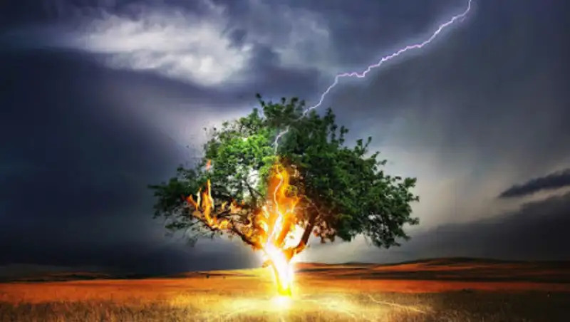 18 августа на большей части Казахстана ожидаются дожди с грозами