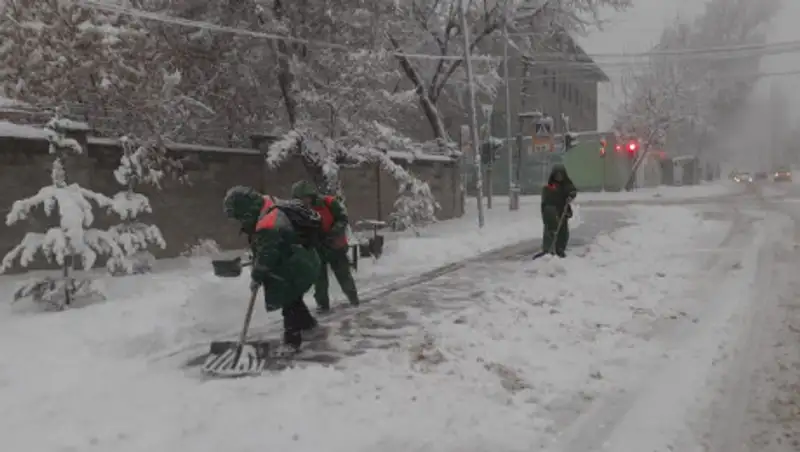 До 15 сантиметров снега выпало за ночь в Алматы