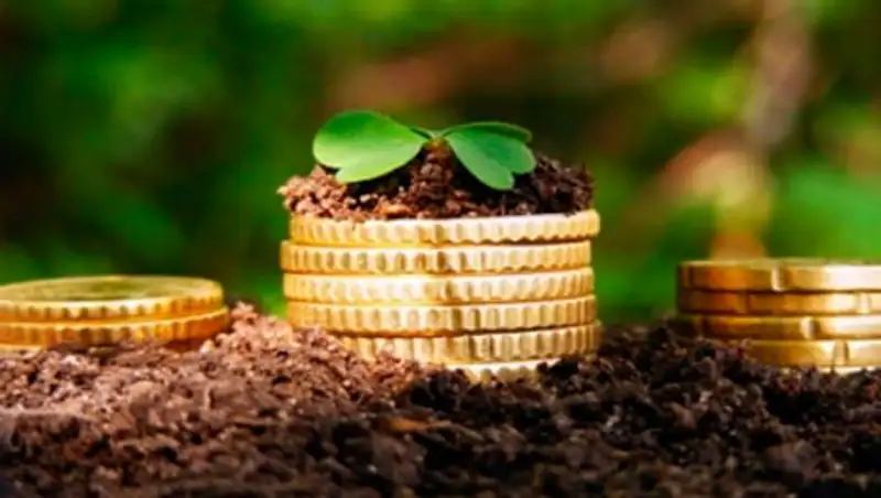 Отмена таможенных льгот повлечет остановку предприятий в СЭЗ, фото - Новости Zakon.kz от 29.03.2016 21:41