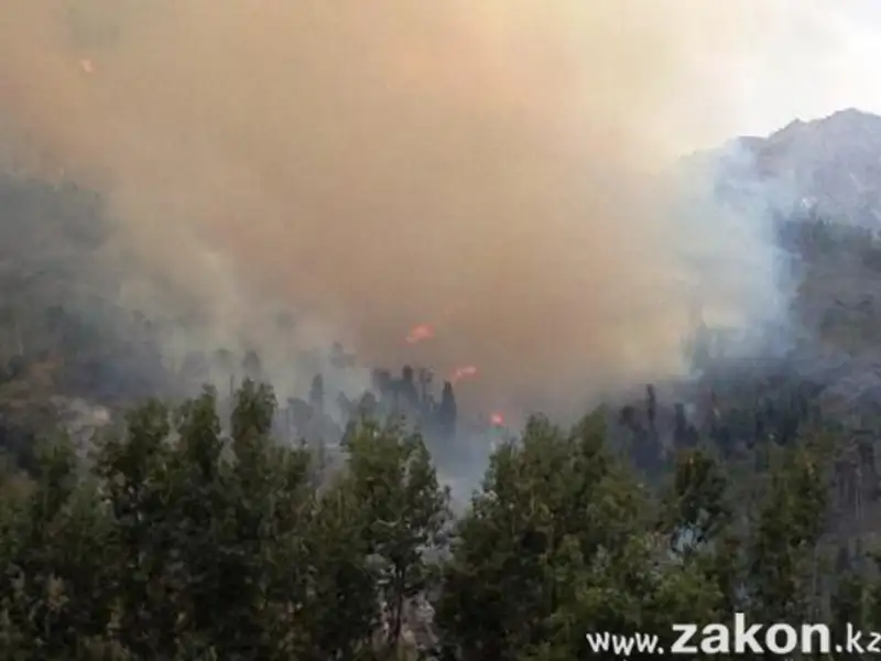 На Медеу сгорело 16 га восточной стороны горы Мохнатка (фото), фото - Новости Zakon.kz от 23.08.2012 16:45
