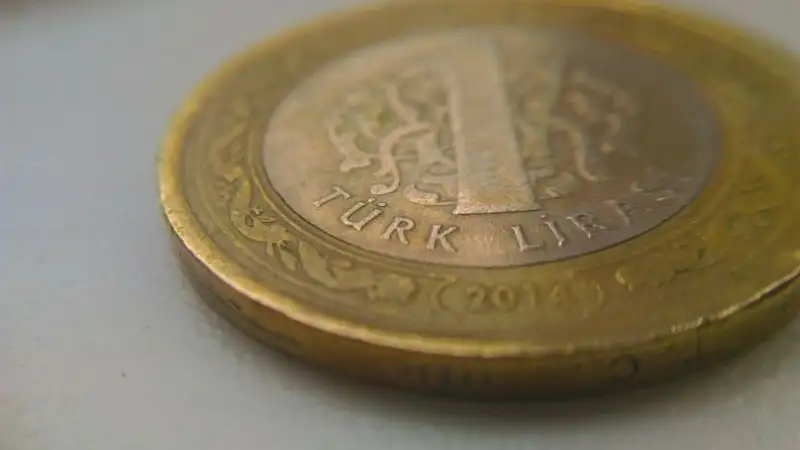 Турецкая лира рухнула после повышения ставки Центробанком