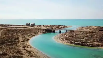 tumba.kz, фото - Новости Zakon.kz от 09.07.2019 02:02