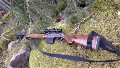 pixabay.com/, фото - Новости Zakon.kz от 08.02.2019 12:48