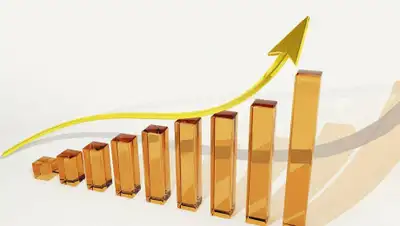 domjilserv.ru, фото - Новости Zakon.kz от 17.02.2020 12:58