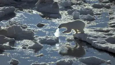 Zakon.kz, фото - Новости Zakon.kz от 16.03.2016 16:01