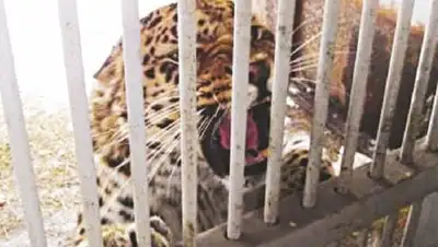 Zakon.kz, фото - Новости Zakon.kz от 10.07.2014 18:04